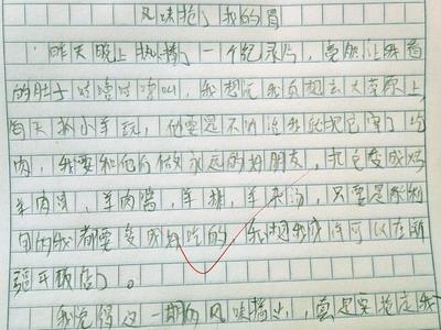 我看的作文