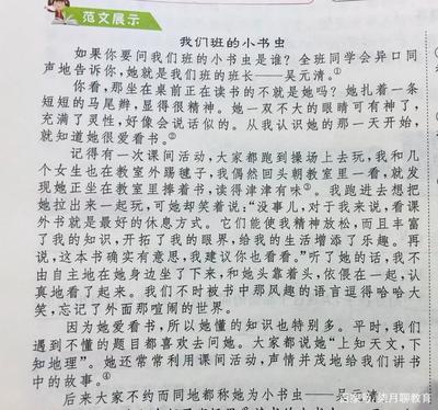 试卷分析300字