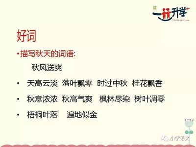 描写中秋的词语