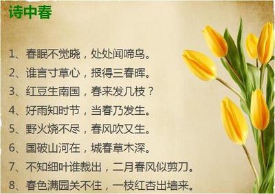 关于诗的句子