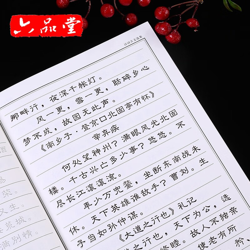关于诗的句子