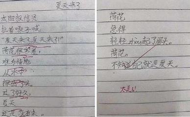 想象作文的批语