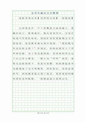 小学生满分作文大全