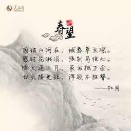 关于诗的句子