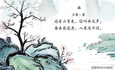 关于诗的句子