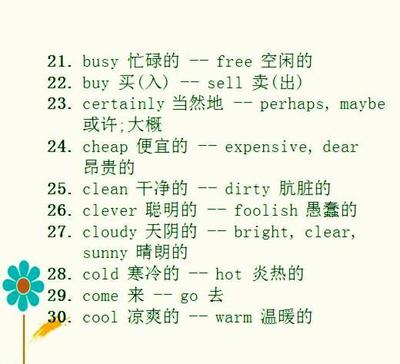 小学生英语单词怎么说