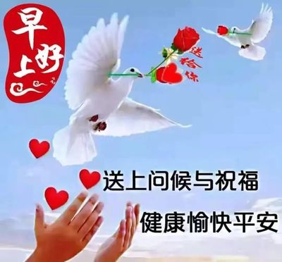 形容回家开心的句子
