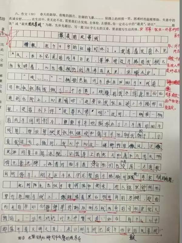 小学生满分作文大全