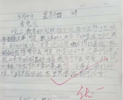 我看的作文