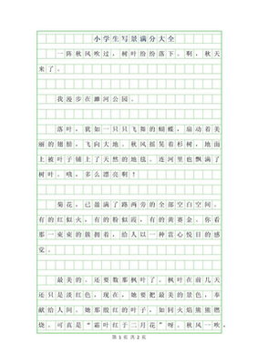 小学生满分作文大全