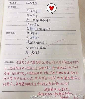 想象作文的批语