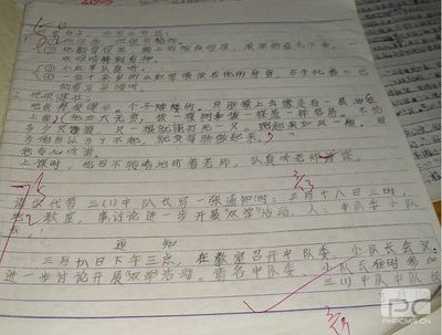 劝说的作文