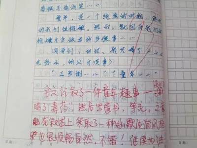 我看的作文