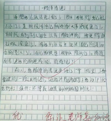 我的老公作文
