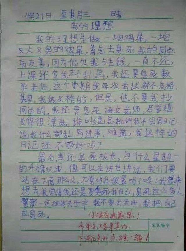 同学拉肚子作文