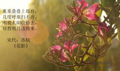 描写早上太阳的诗句