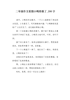 小鸭得救了作文