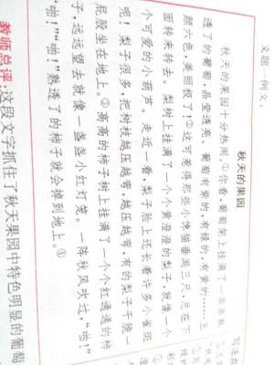 同学拉肚子作文