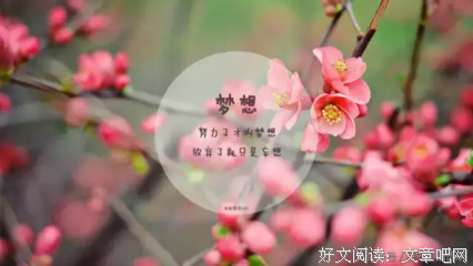 形容生不如死的句子