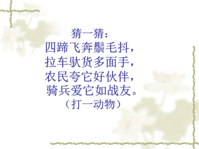 小动物的句子