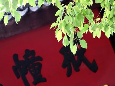 描写心静的诗句