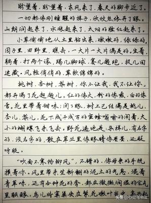 300字散文精选