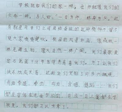 家的温暖作文800字