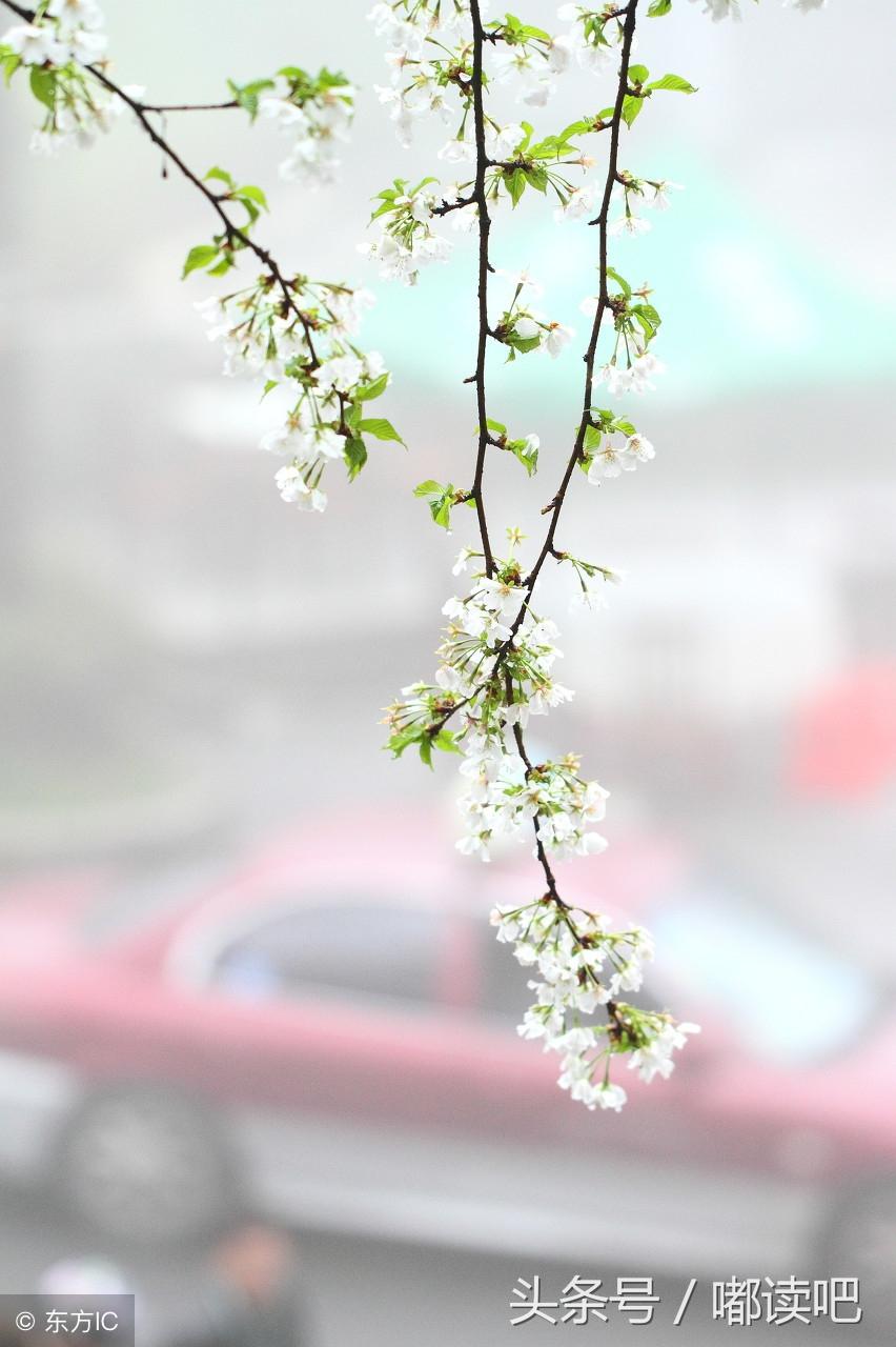 描写心静的诗句