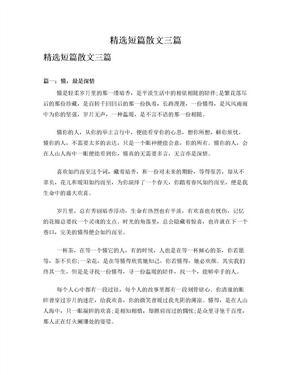 300字散文精选