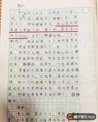 我喜欢的诗作文