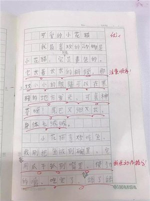 雨后的作文100字