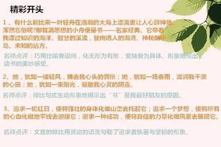 校运会作文开头