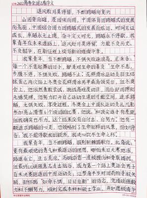 中国的发展作文