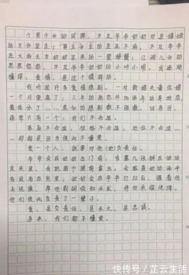 老师的责任作文