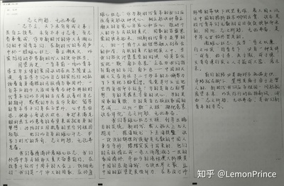 中国的发展作文