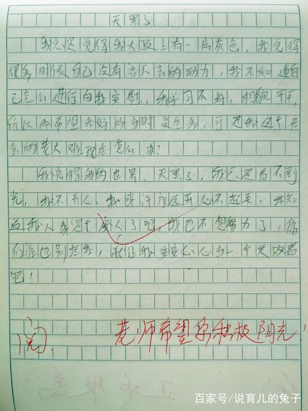 老师的责任作文