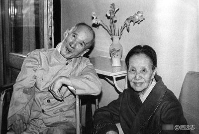 张海迪的故事简介50字