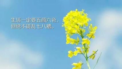 人生的舞台的精美句子