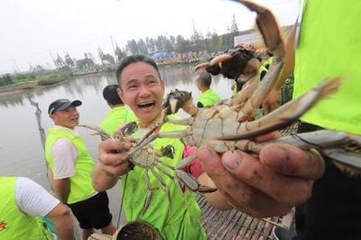 螃蟹和鱼的故事