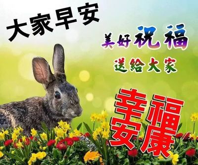 晒太阳表达心情的句子