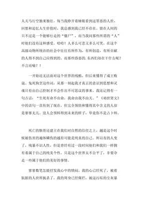 以美好为题的作文