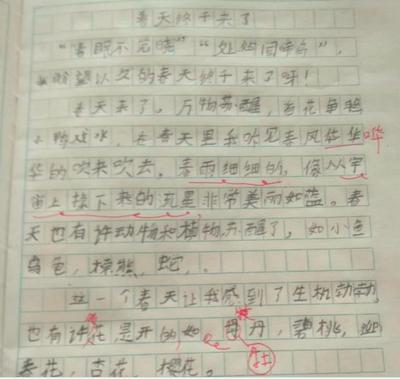 写什么作文好