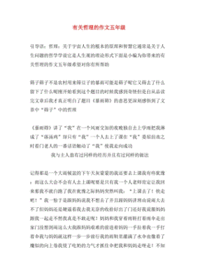 有关哲理的作文