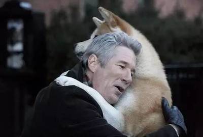 忠犬八公的故事感悟