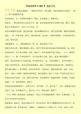 远足作文500字