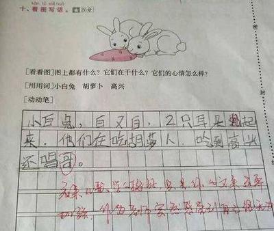 写什么作文好