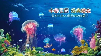 描写水母的句子