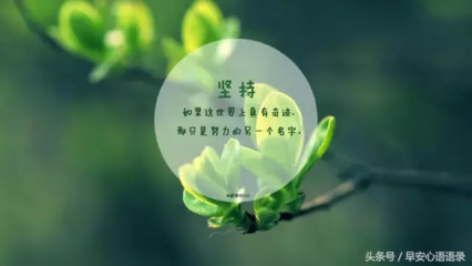坚持的优美句子