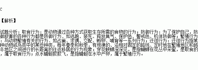 描写分别的诗句