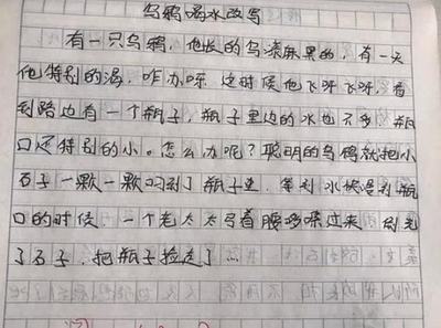 精彩的故事作文